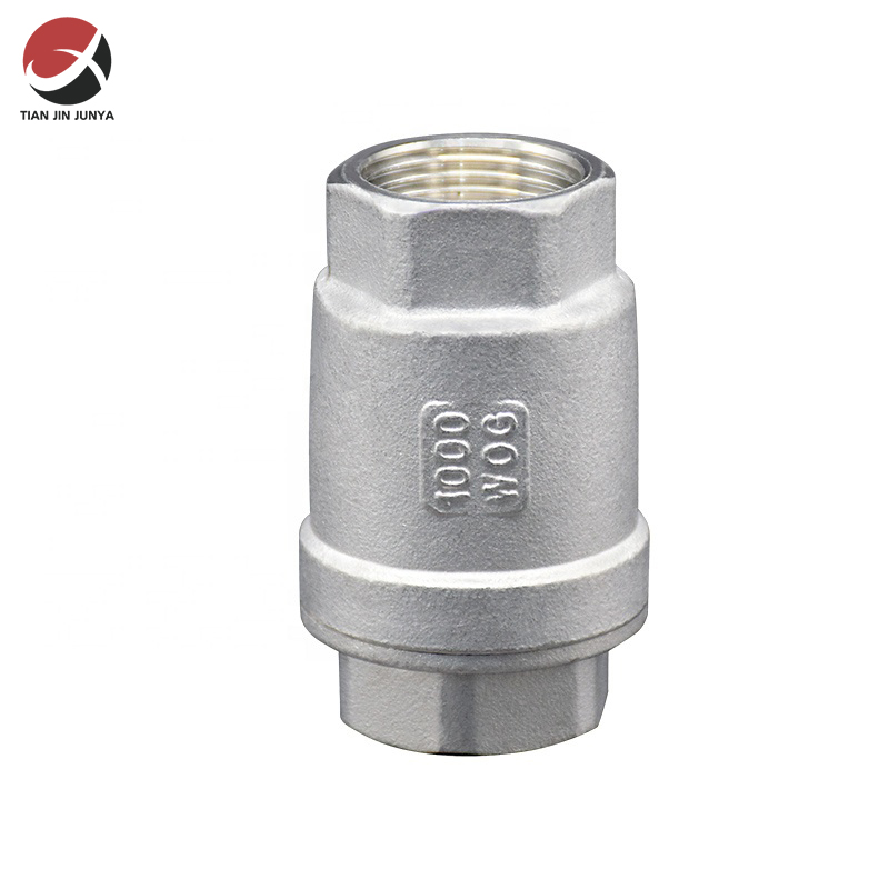 不(bu)鏽鋼(gang)二片(pian)式彈(dan)簧止(zhi)回閥(fa)